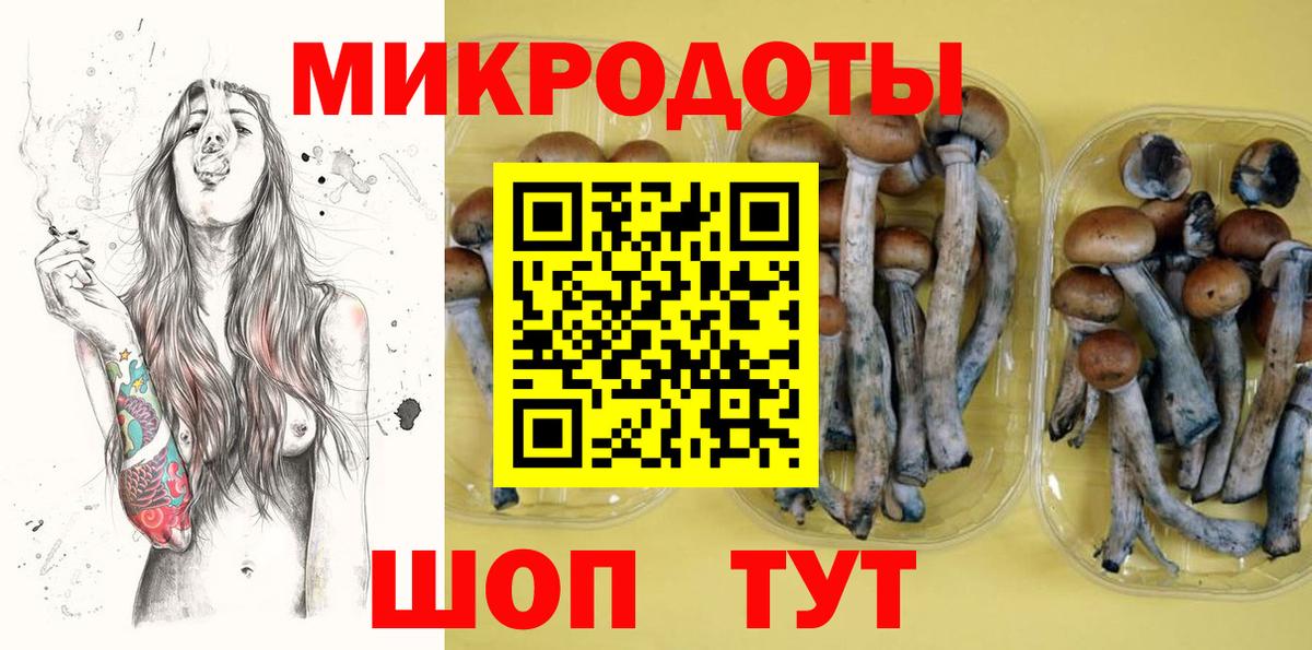 Астрахань  Псилоцибиновые грибы мухоморы  Вход с VPN  Галлюциногенные грибы Psilocybe 